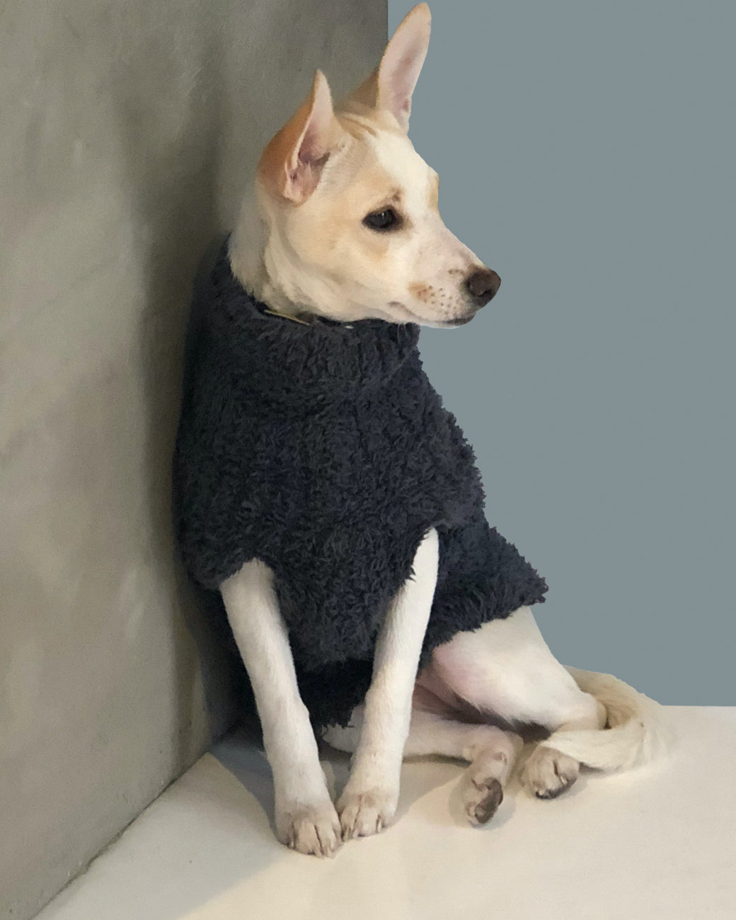 Gray dog sweater, shown on body.