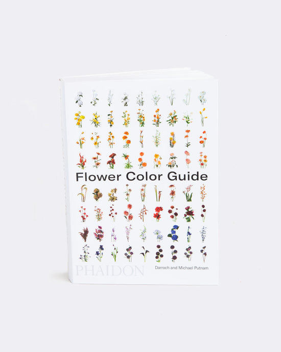 Flower Color Guide – Love Adorned